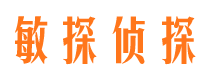 乃东市侦探公司